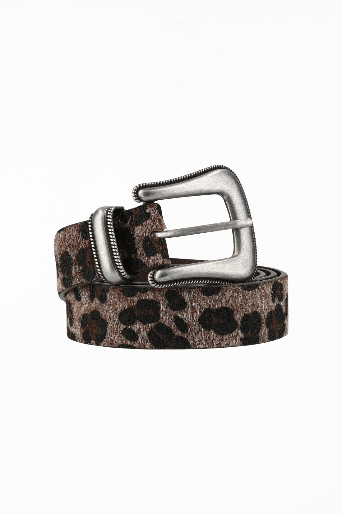 Cheetah Belt coiled on white, leopard print hair-on leather with silver western buckle