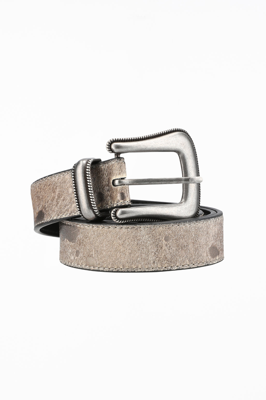 Stallion Belt coiled on white, distressed gray leather with western silver buckle